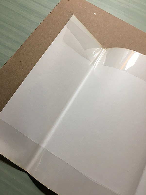 Dust jacket protected with archival polyester sleeve
