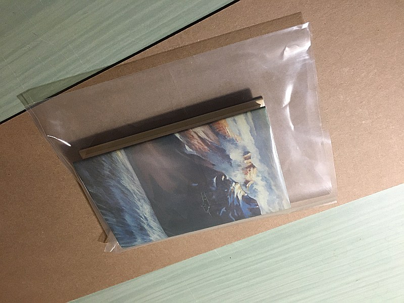 Book placed in polybag